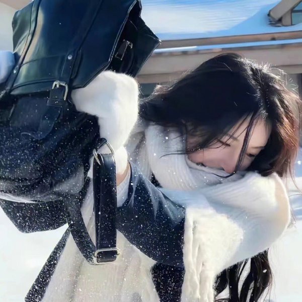 列车大盗
